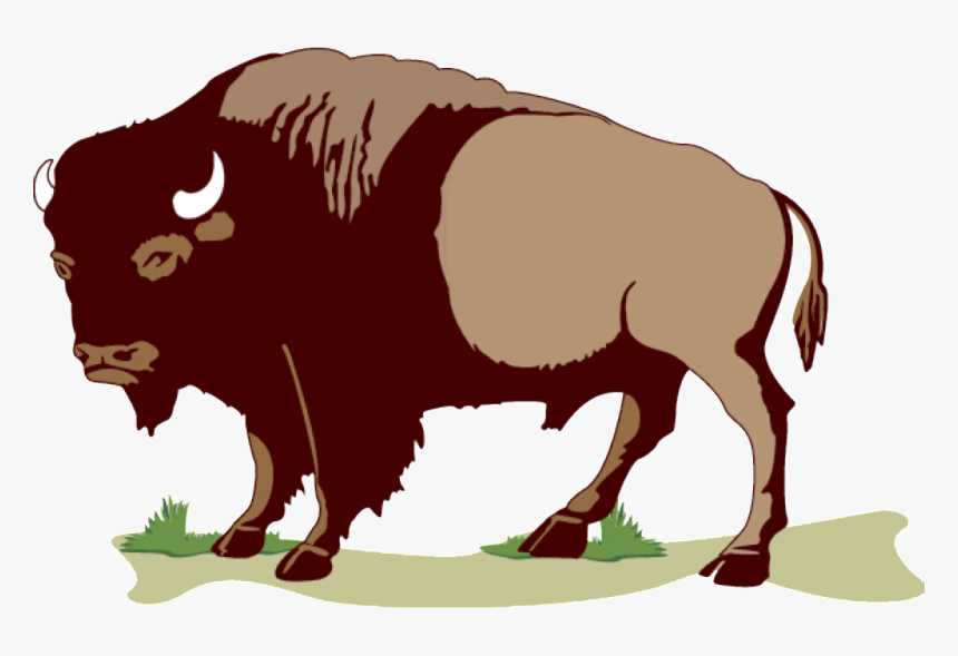 Buffalo Sticker Clipart , Png Download - Buffalo Clip Art Png, Transparent Png