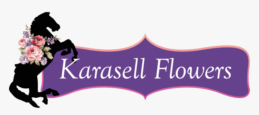 Hudson Falls, Ny Florist - Live Everyday Like Its Your, HD Png Download