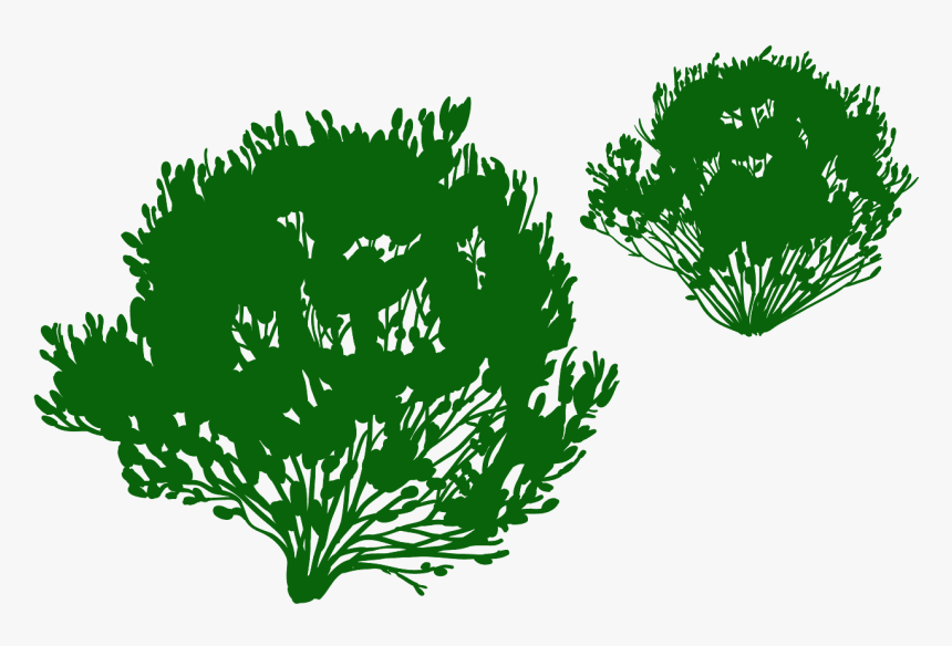 Silueta Arbusto En Png, Transparent Png