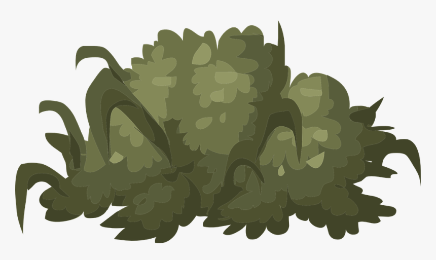 Bụi Cây Png, Transparent Png