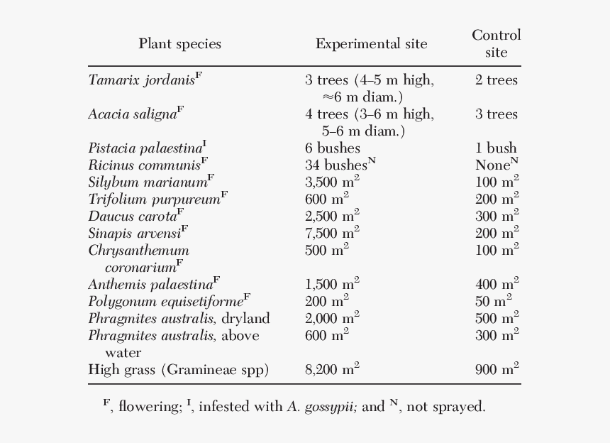 Screenshot, HD Png Download