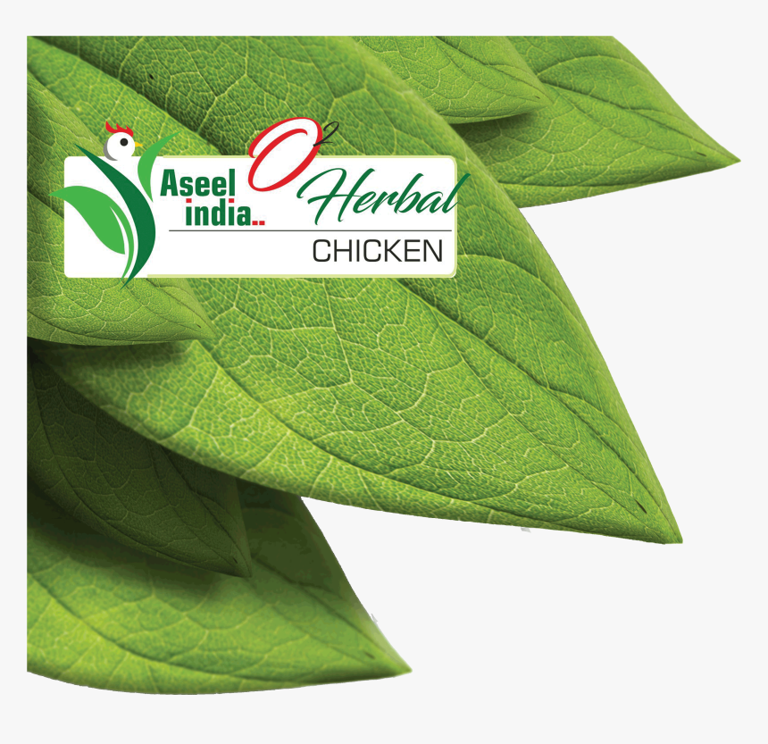 Image - Label, HD Png Download