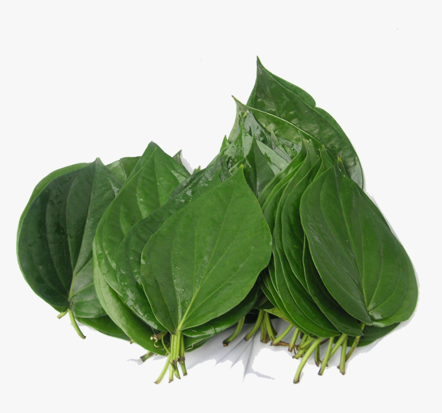 Spinach, HD Png Download