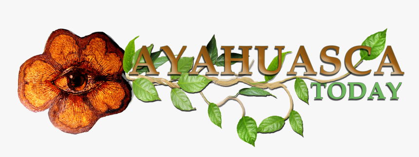 Ayahuasca Today Logo Large, HD Png Download