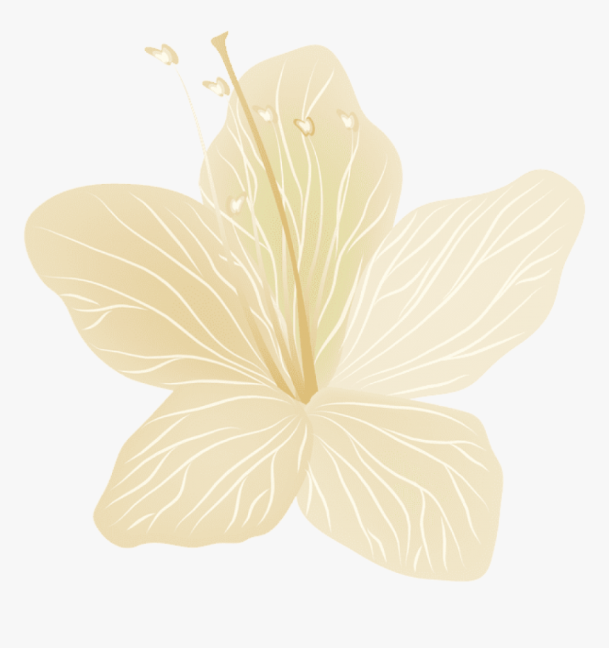 Thoranam Images Png - Chinese Hibiscus, Transparent Png