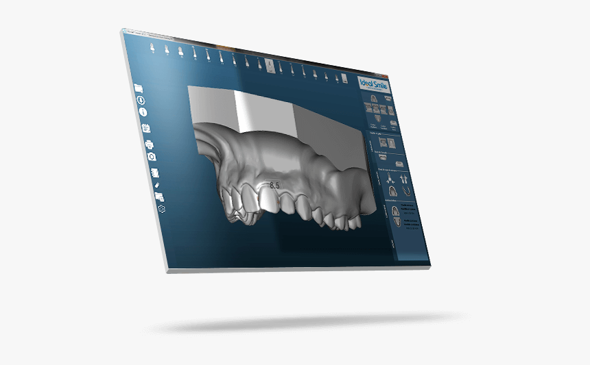 Stallion, HD Png Download