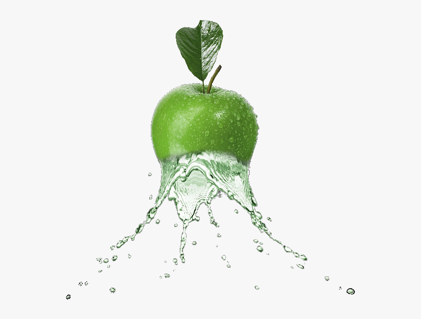 Fruit Water Splash Clipart Tree, HD Png Download