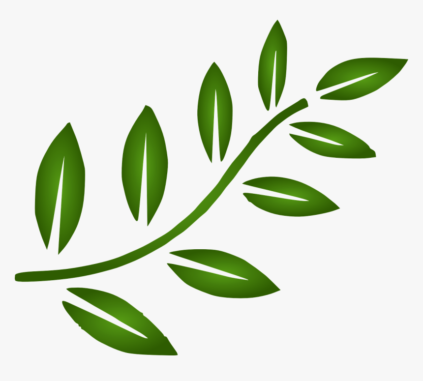 Tree Branch Clip Art, HD Png Download
