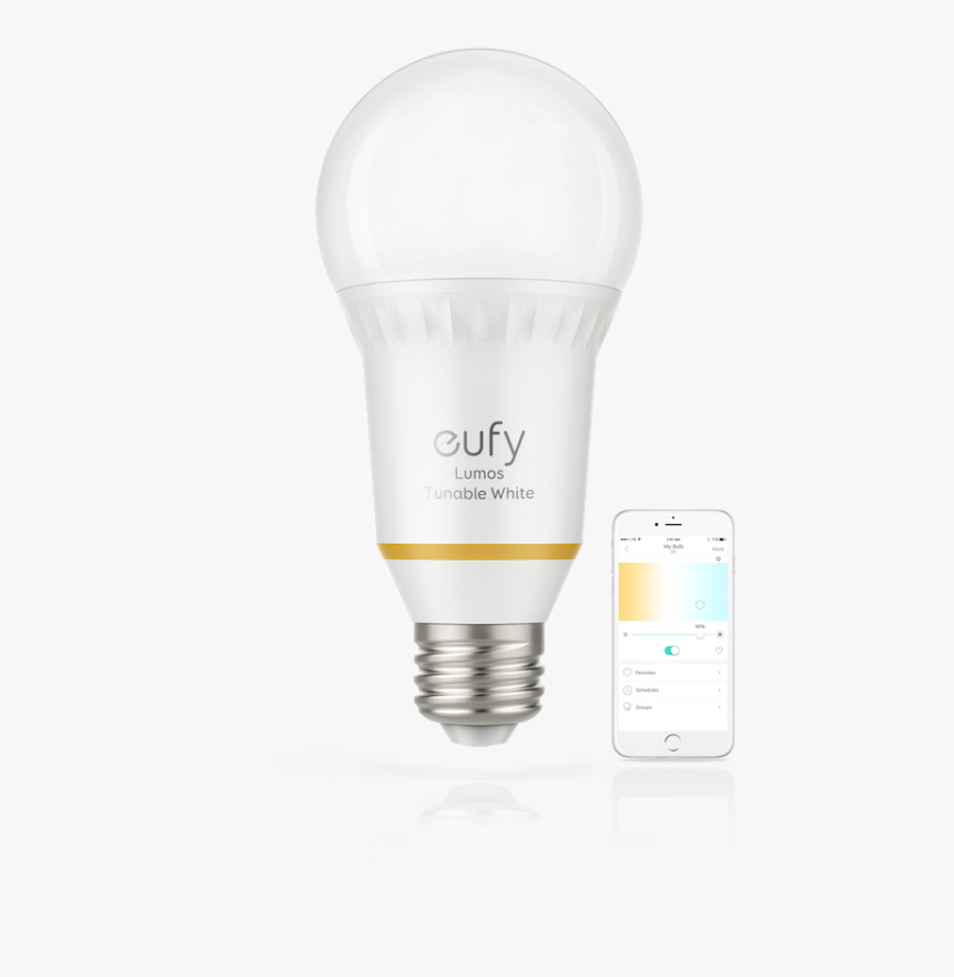 Compact Fluorescent Lamp, HD Png Download
