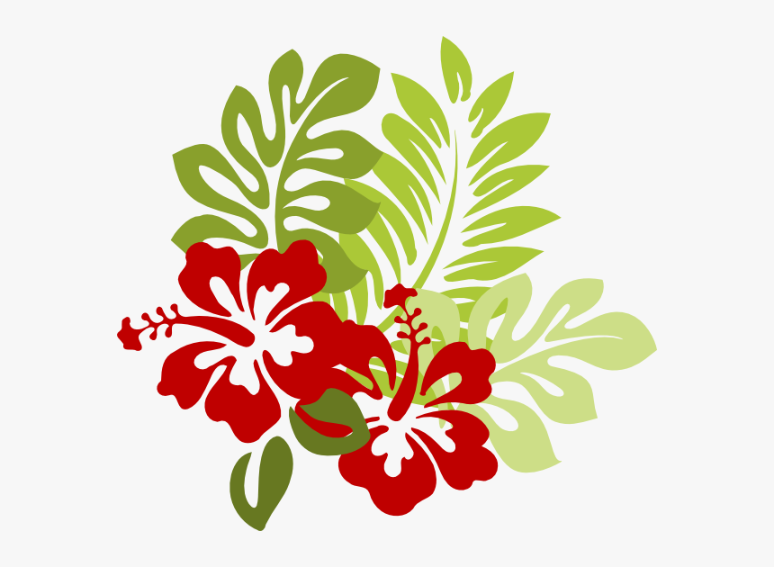 Hibiscus Flower Vector Png, Transparent Png