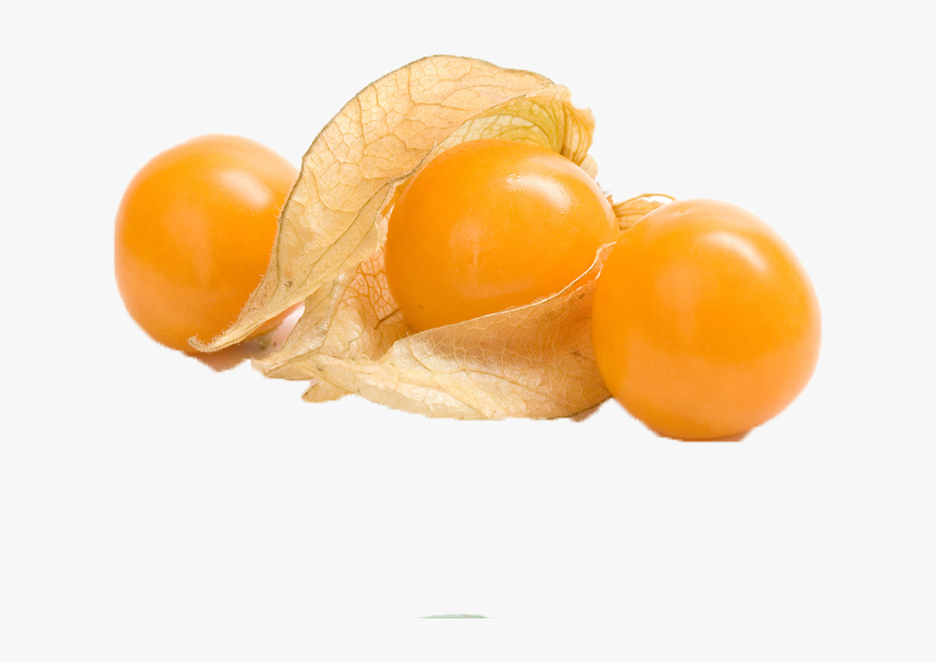 Citrus Fruit Png Stock Photo - Peruano Frutas De La Selva, Transparent Png