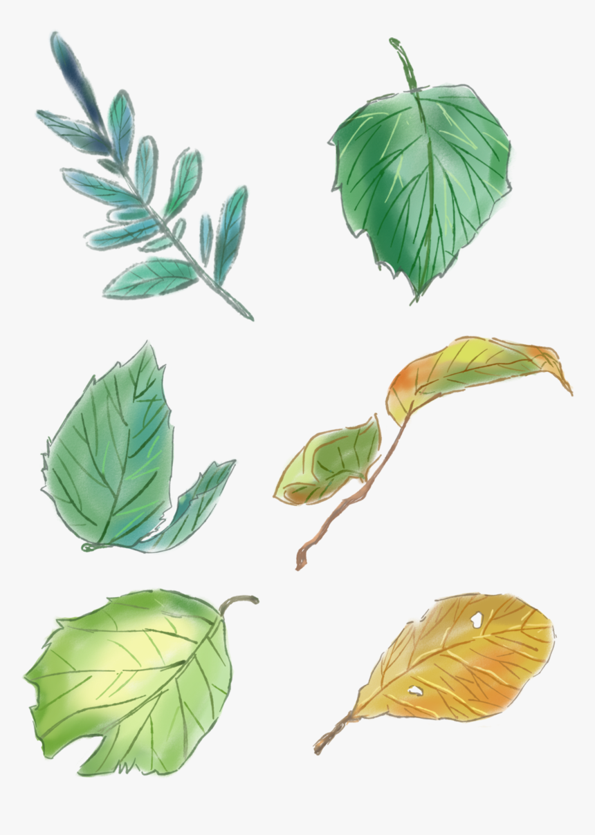 Original Hand Painted Green Leaves Set Drawings Png - Нарисованные Листья Пнг, Transparent Png