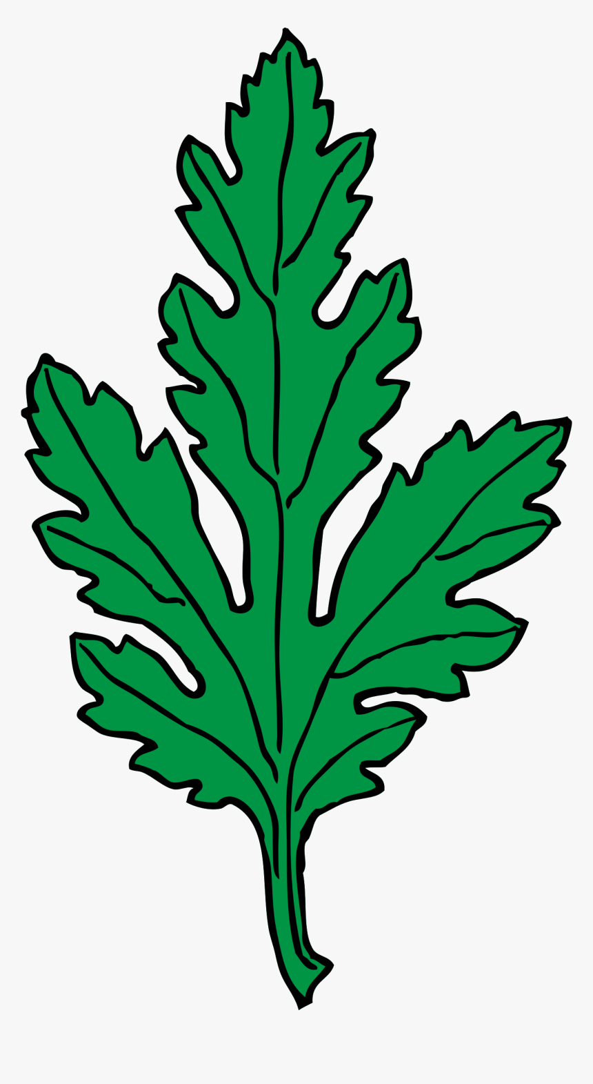 Green Leaf Clip Art - Chrysanthemum Leaf Clipart, HD Png Download