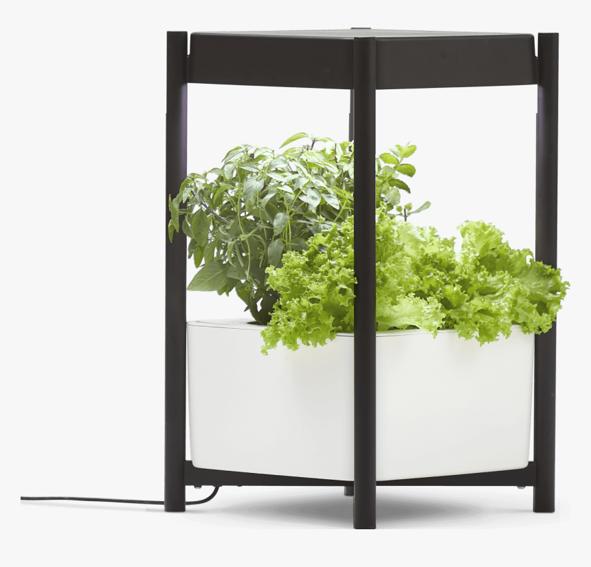 Miracle-gro® Twelve™ Indoor Growing System - Miracle Gro Twelve Indoor Growing System, HD Png Download