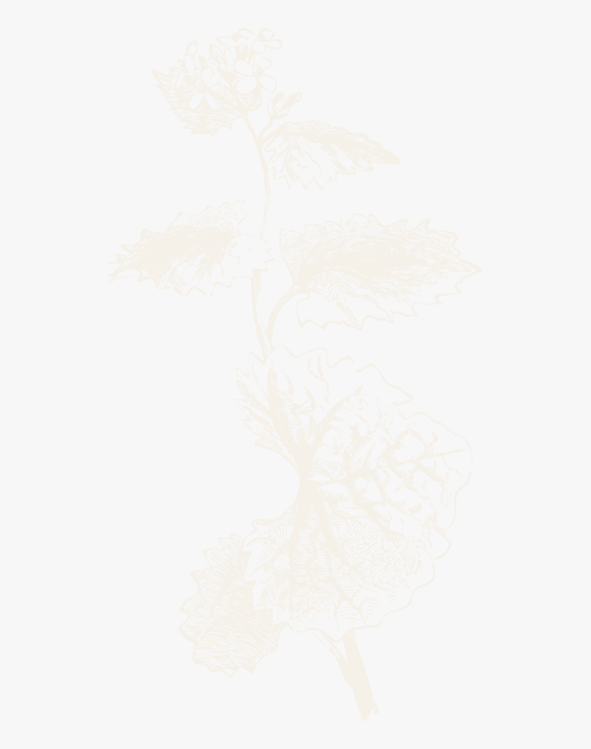 Illustration, HD Png Download