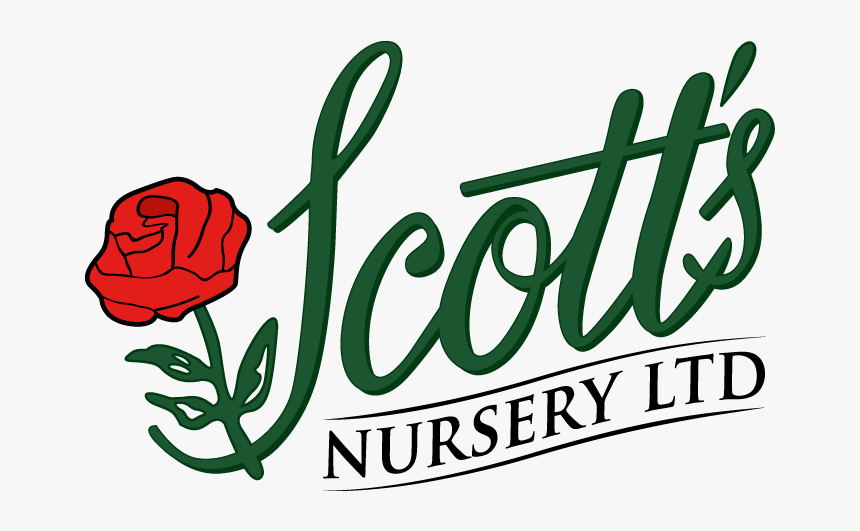 Scott S Nursery - Scott's Nursery, HD Png Download