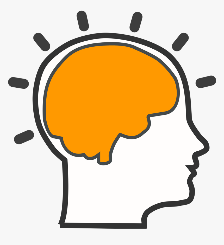 Metacognition Www Imgkid Com The Image Kid Has It Natural - Brain Clip Art, HD Png Download