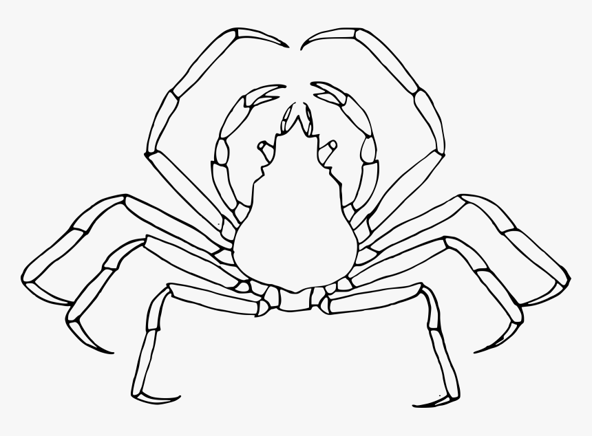 Of A Clip Art - Line Art, HD Png Download