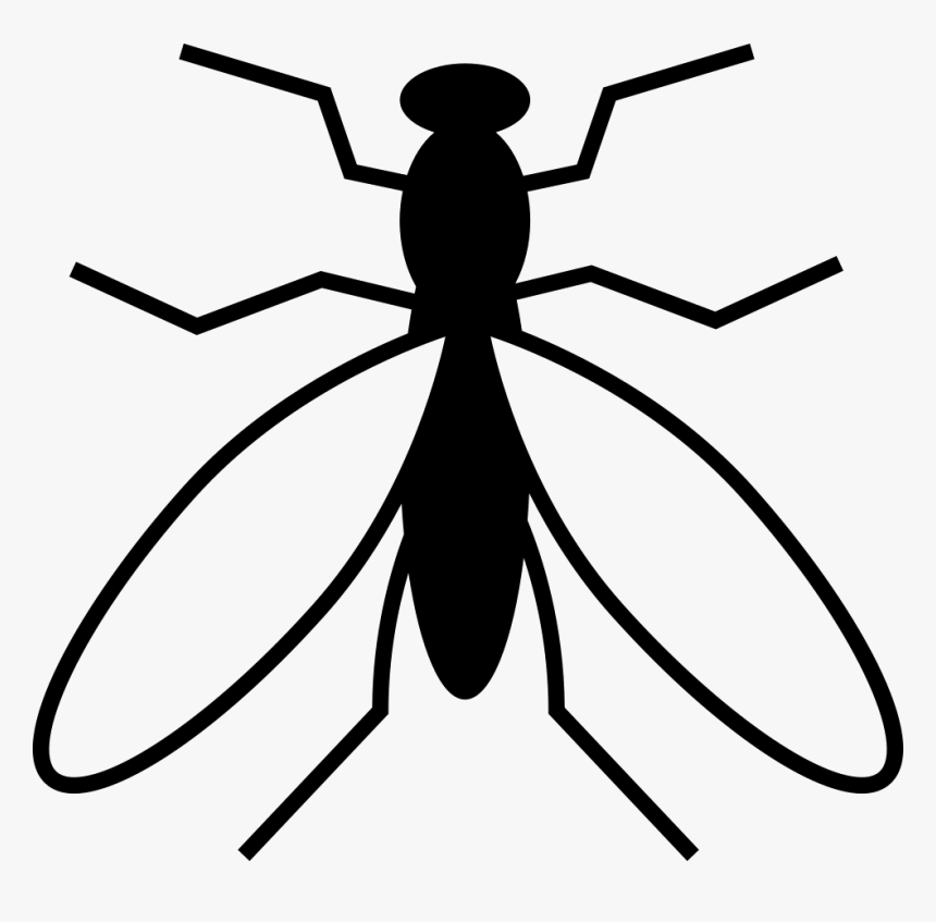 Mosquito From Top View - Mosquito Vector Art, HD Png Download