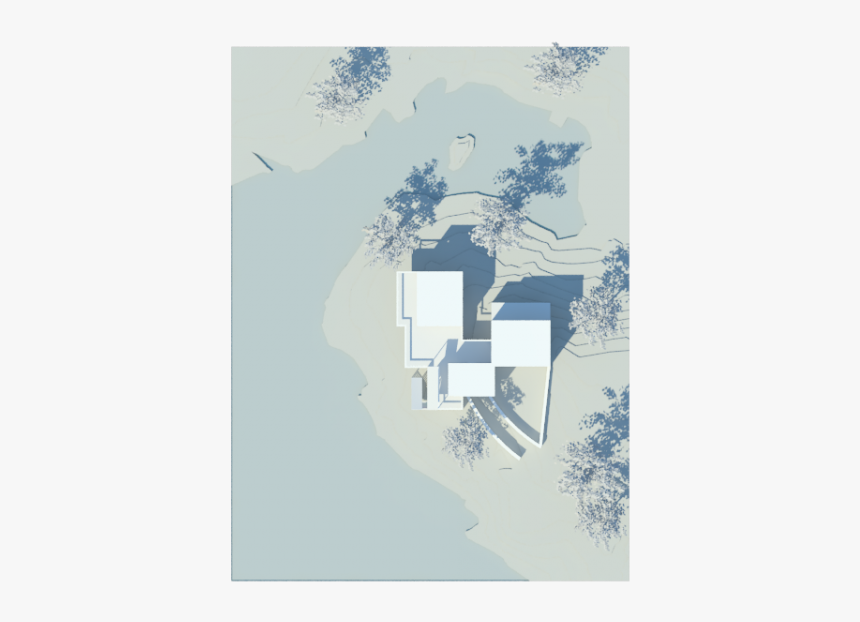 Top-view - Tree, HD Png Download