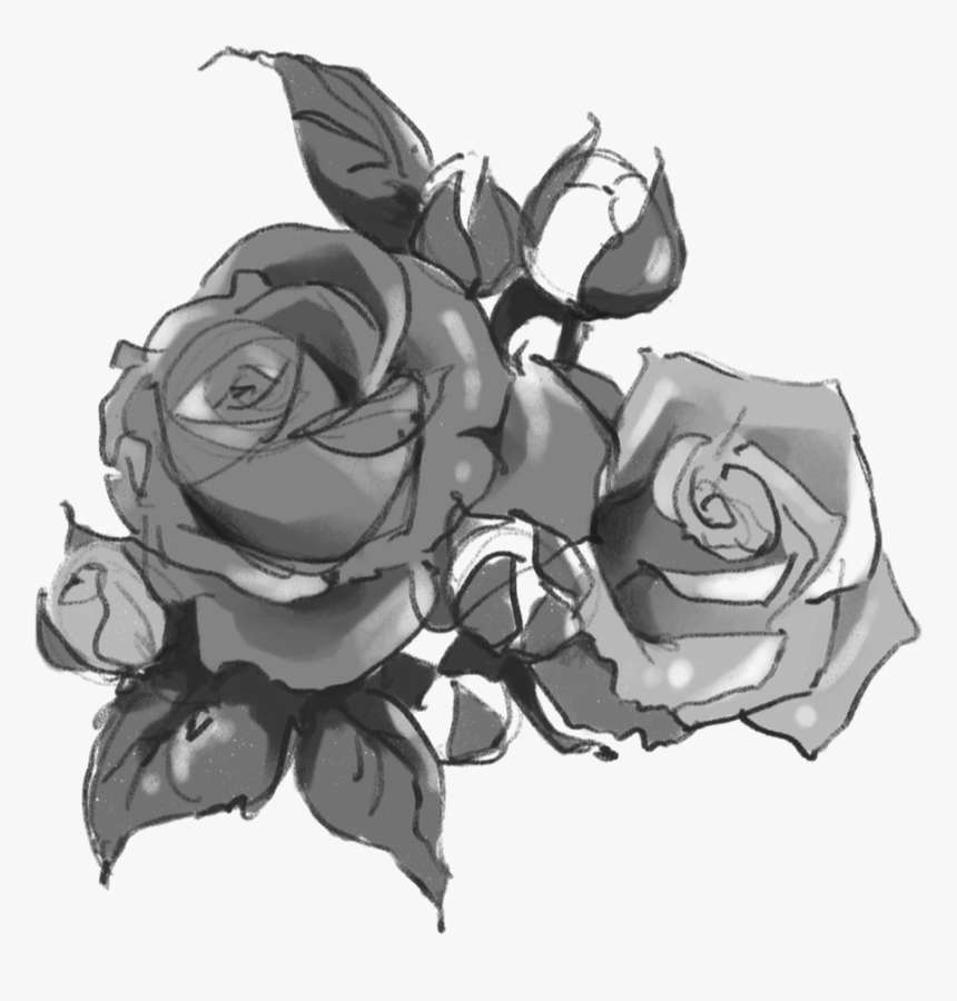 Garden Roses, HD Png Download