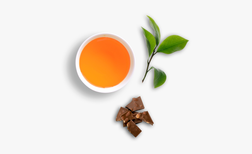 Dummy - Amber, HD Png Download