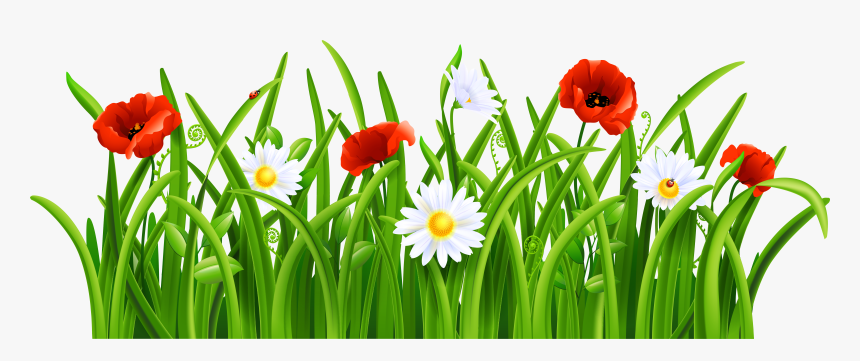 Grass With Flower Clipart Png - Flowers And Grass Png, Transparent Png