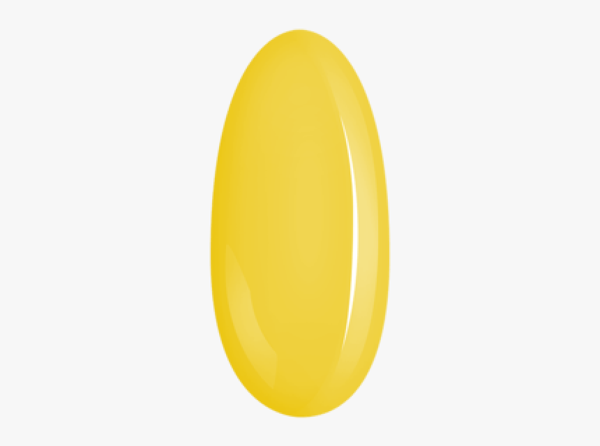 Circle, HD Png Download