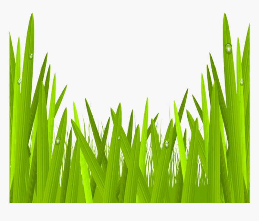 Green Grass Png Clip Art Image Gallery - Clipart Grass Transparent, Png Download