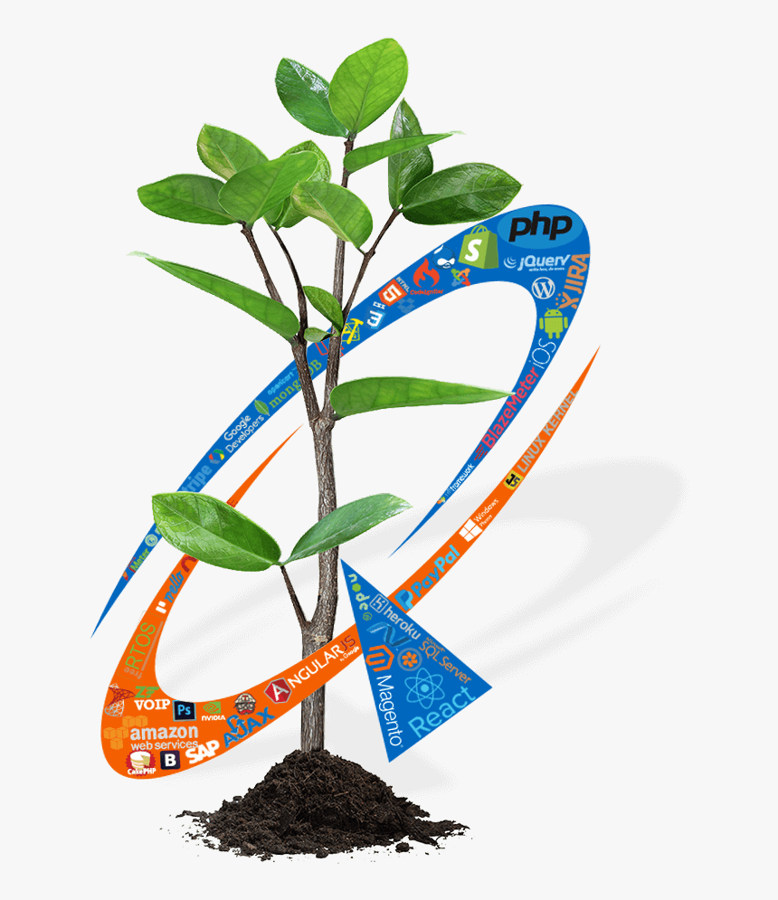 Ecommerce Website Png, Transparent Png