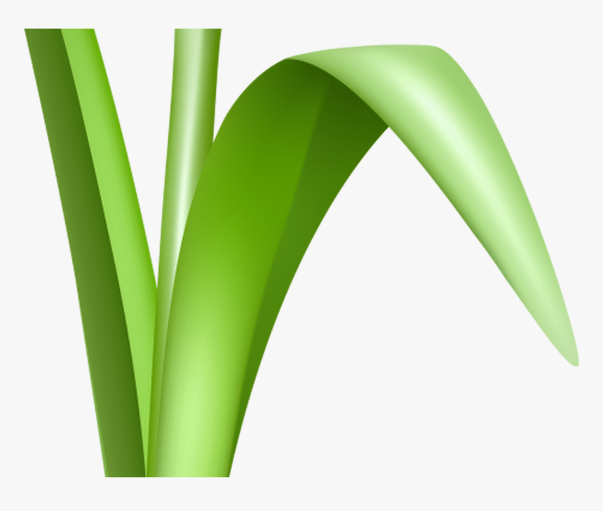 Transparent Free Flower Clipart Transparent Background - Grass, HD Png Download