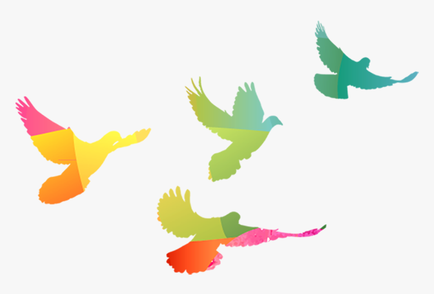 Palomas En Color Oro Png, Transparent Png