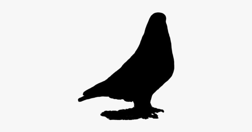 Pigeon Png Transparent Images - Buzzard, Png Download