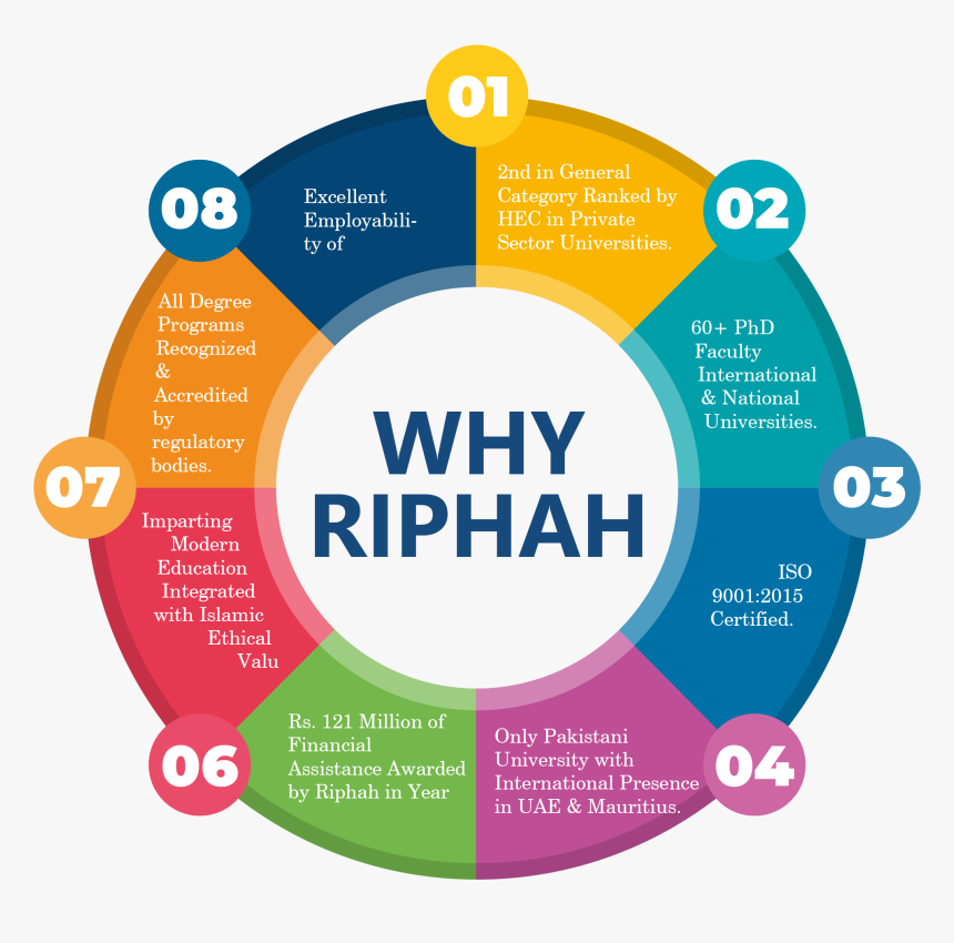 Flowchart, HD Png Download