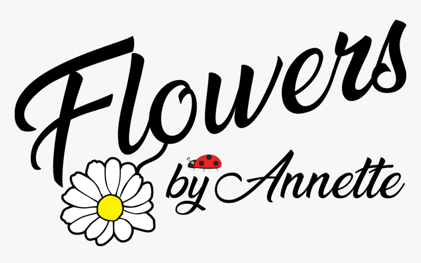 Flowers By Annette - Daisy, HD Png Download