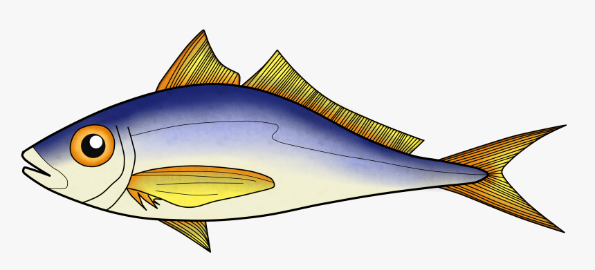 Marlin, HD Png Download