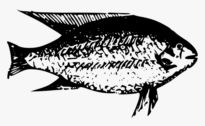 Art,monochrome Photography,seafood - Clip Art Animal On The Lake Black, HD Png Download