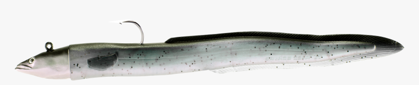 Anago, HD Png Download