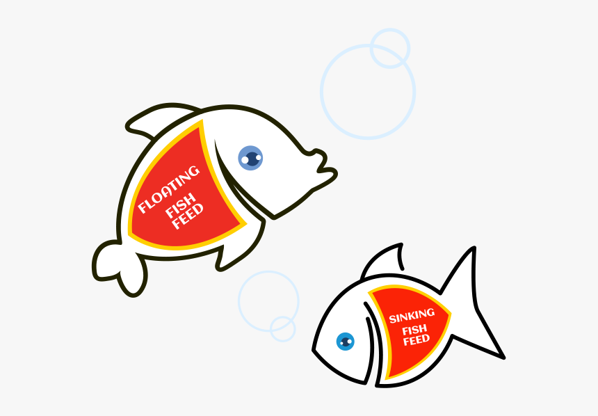 Real Gold Fish Packeging Design - Cartoon, HD Png Download