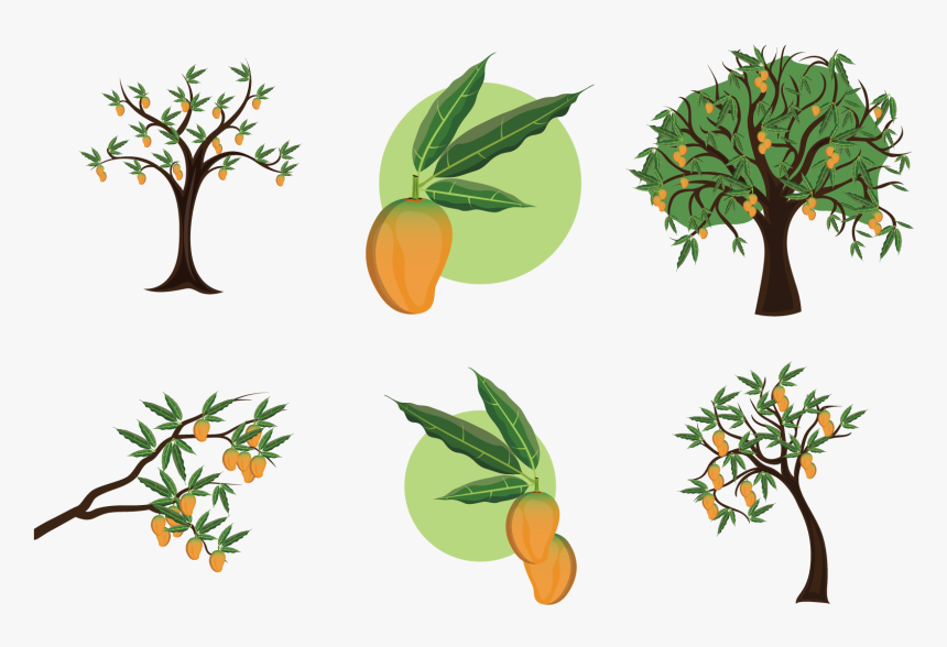 Mango Clipart Stem Mango Tree Clipart Black And White, HD Png Download , Transparent Png Image