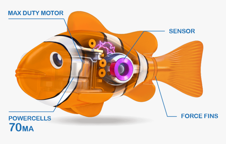 Blowfish, HD Png Download