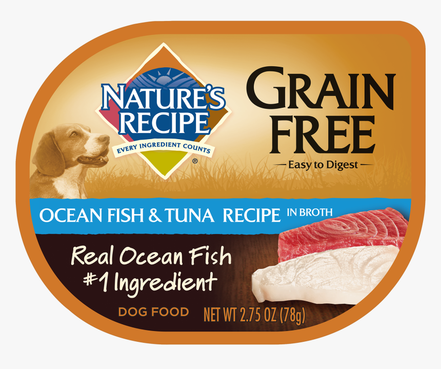 Camel, HD Png Download