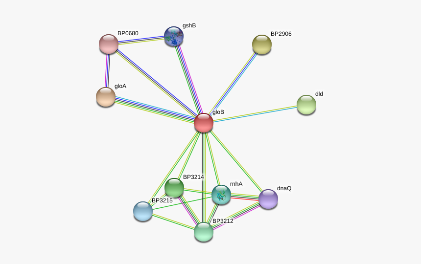 Glob Protein, HD Png Download