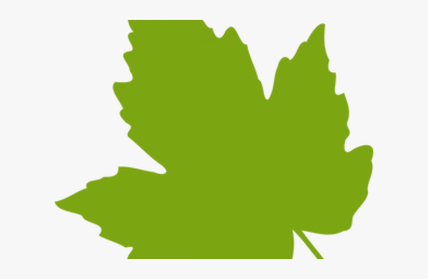 Maple Leaf Clipart Dry Leaf - Clip Art Grape Leaves, HD Png Download
