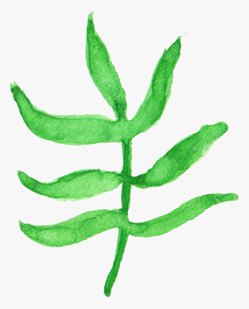 Drawing, HD Png Download