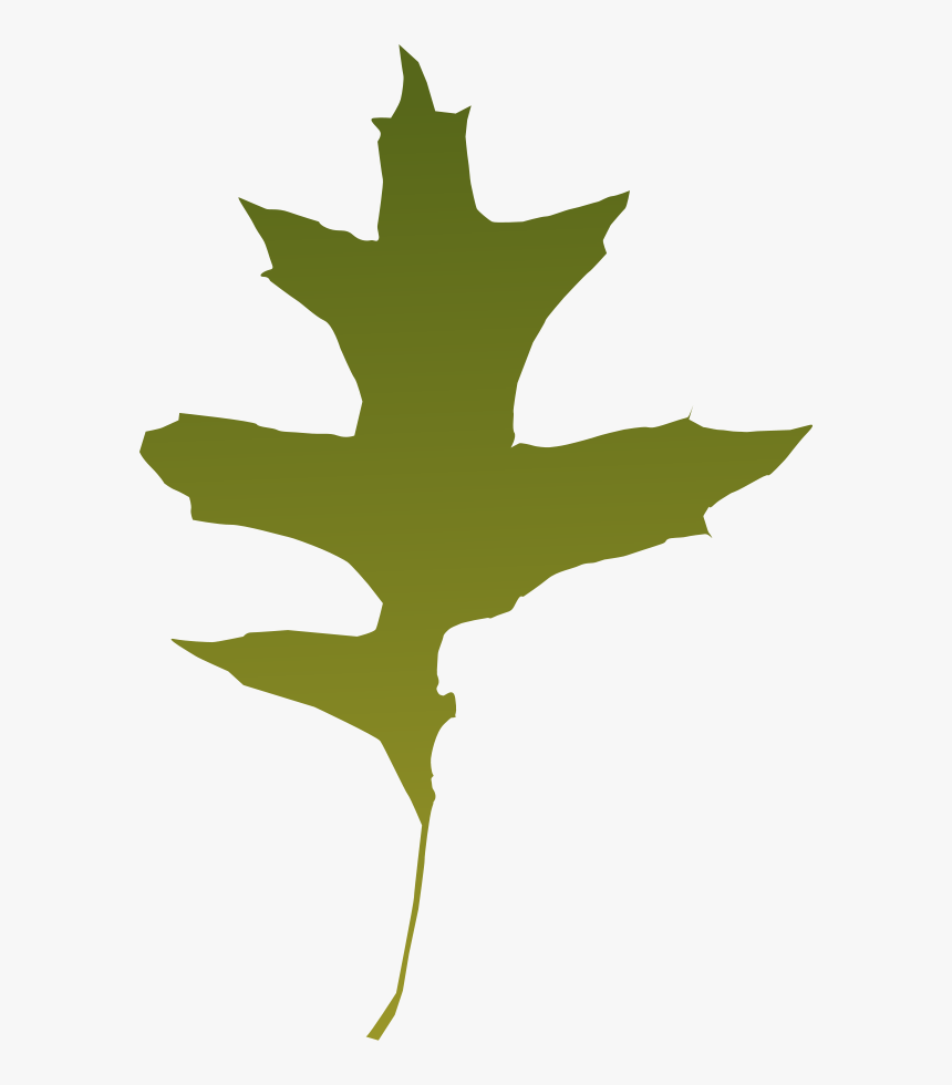 Foliage, Autumn, Leaf, Nature, Tree, Green, Dry - Green Oak Leaf Vector, HD Png Download