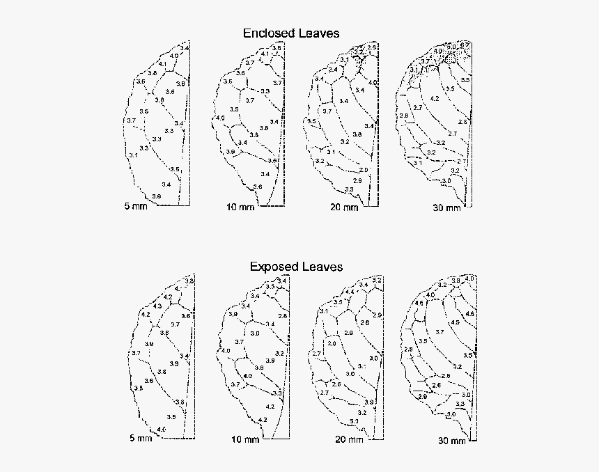 Diagram, HD Png Download