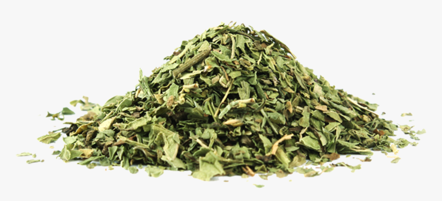 Dried Mint - Khushk Podina, HD Png Download
