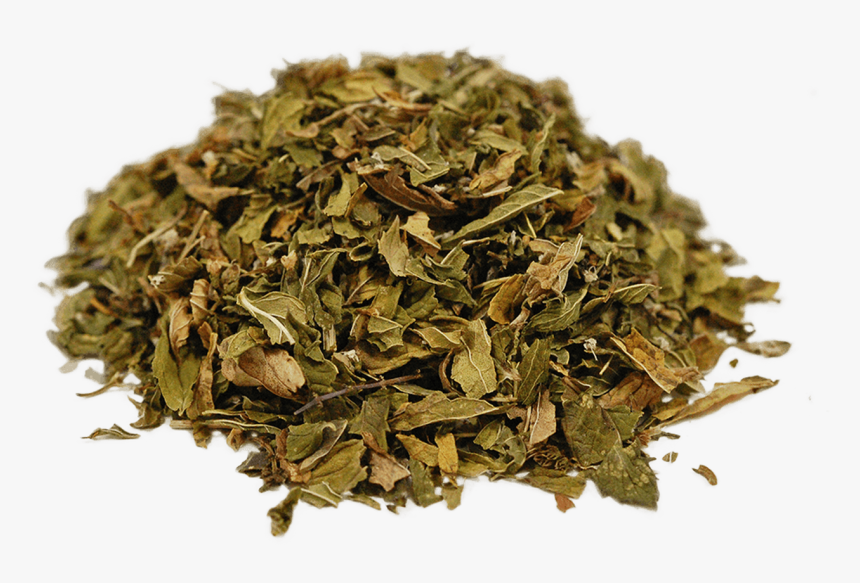 Organic Spearmint - Leaf, HD Png Download
