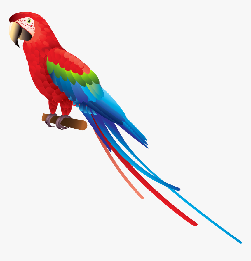 Indian Parrot Png - Transparent Background Parrot Clipart, Png Download